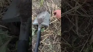 Что за монета, находки с деус 2 