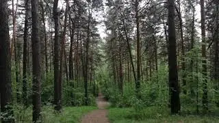 Горки zaепарка, какие нашёл