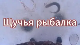 Щучья рыбалка