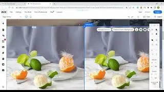How to Create a Column in Strip in Wix | Wix Tutorial