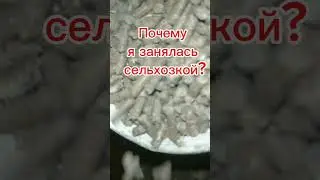 А какие у вас последствия травм головы? #городскиевдеревне #юмор #изгородавдеревню #изгородавсело
