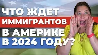 Что ждет иммигрантов в Америке в 2024 году? | Советы иммиграционного адвоката