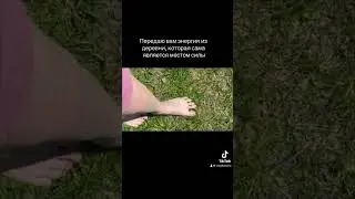 25 мая 2024 г.