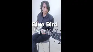 Blue Bird - Ikimonogakari Bass Cover