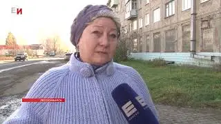 ЛЕСОСИБИРЦЕВ НАПУГАЛ ЗВУК ХЛОПКА