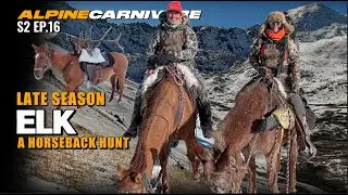 HIGH COUNTRY ELK HUNT | LATE SEASON HORSEBACK BULLS