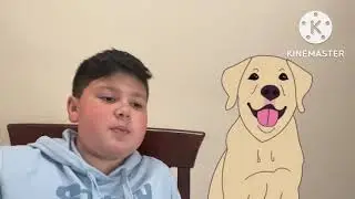 What are the best dog breeds with other dogs.