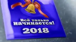 ПРОЩАЙ, ШКОЛА ! - Последний звонок моего внука.