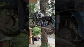 Сочи #сочи #типичныйсочи #чпсочи #shorts