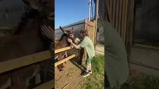 True love - Это любовь 😍