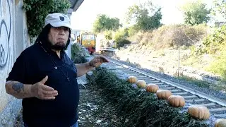 Rompo le ZUCCHE