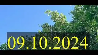 🔥9 October 2024