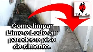 Como Tirar o Limo e lodo de paredes e piso de cimento - by Takenaka