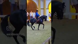 Andalusian High School Championship