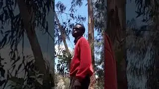 behind live