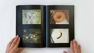 Jerry Hsu - The Beautiful Flower is the World
