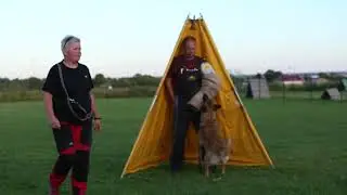 Зоркинхоф Бульдозер, IGP 1, C96