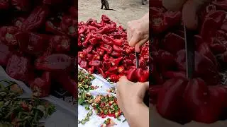 Kırmızı Salçalık Biber 🔥🌶️ Salçası