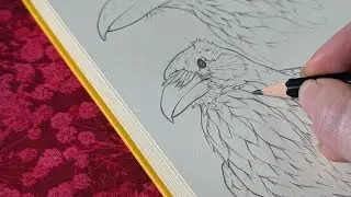 An hour in my sketchbook