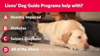 Guelph Royal City Lions Club - Dog Guides Golf - Guelph - 1-1333