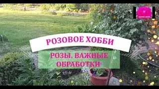 НЕ ОПОЗДАЙТЕ С ОБРАБОТКОЙ РОЗ!
