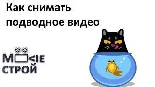 Как снимать подводное видео: Moovieстрой