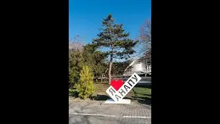 Девочка Анапа. Александр Журавский