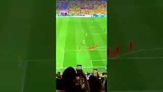 Naymer Planty Cool Kick. Brazil vs South Korea Match.গ্যালারী থেকে নেইমারের পেলান্টি গোলের ভিড়িও।