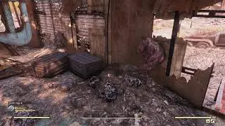 Fallout 76 - Dog Waves Hello