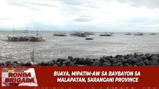 Buaya, mipatim-aw sa baybayon sa Malapatan, Sarangani Province