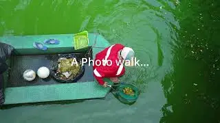 A Photowalk