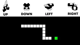 I Wrote a Program to Play Snake with Ninjutsu...