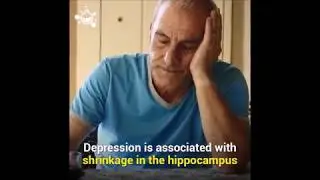 La depresión reduce la región cerebral responsable de los recuerdos y las emociones