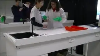 Mannequin challenge 2GT4 groupe 1 - lycée J. Prévert