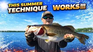 The BEST Summer Time Bass Fishing Techniques!!!