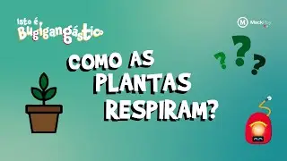 VOCÊ SABE COMO AS PLANTAS RESPIRAM? - ISTO É BUGIGANGÁSTICO | EP.22