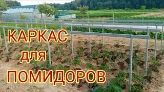 Конструкция для подвязки помидоров.
