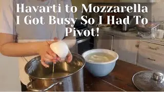 How to Make Mozzarella Cheese.... The Natural Way!