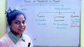 Mode of Nutritions in Plants | Parasitic plants | Insectivorous plants | Symbiosis