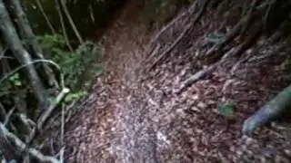 Senda La Dormida en mountainbike