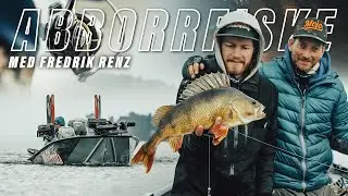 Grymt abborrfiske med Fredrik Renz | www.el-ge.se - din sportfiskebutik på nätet! (4k)