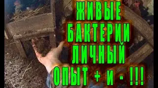 ЖИВЫЕ БАКРЕРИИ ИЛИ ТЕПЛАЯ ПОДСТИЛКА. ЛИЧНЫЙ ПОТЫТ ИСПОЛЬЗОВАНИЯ И ИХ + И - !!!