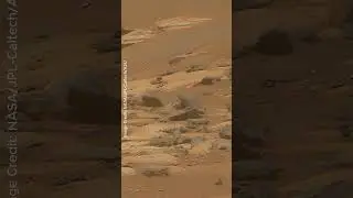 Mars Perseverance /Sol 1003 (Dec. 16, 2023) / 