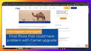 How you can check SAP Integration Suite before the Camel 3.14 upgade