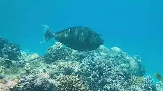Good morning in our lagoon!