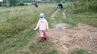 С помощником на хозяйстве/коровы/ телята/птица, жизнь в деревне