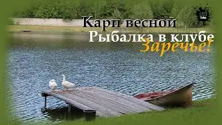 Карп весной в рыболовном клубе Заречье. Рыбалка в Московской области ))