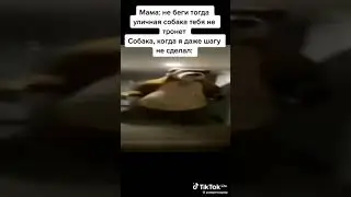 видео взято из тик тока