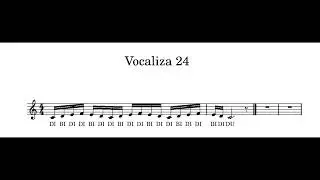 Vocaliza 24