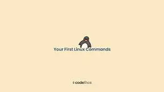 Your first linux commands Part 1 (Malayalam) : linux commands ഒരു പരിചയപ്പെടൽ